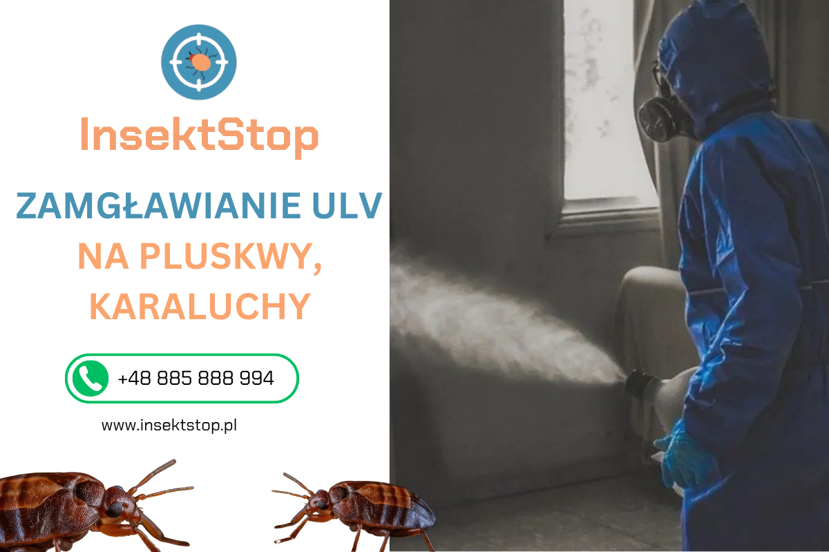 odpluskwianie zamgławianie ulv InsektStop