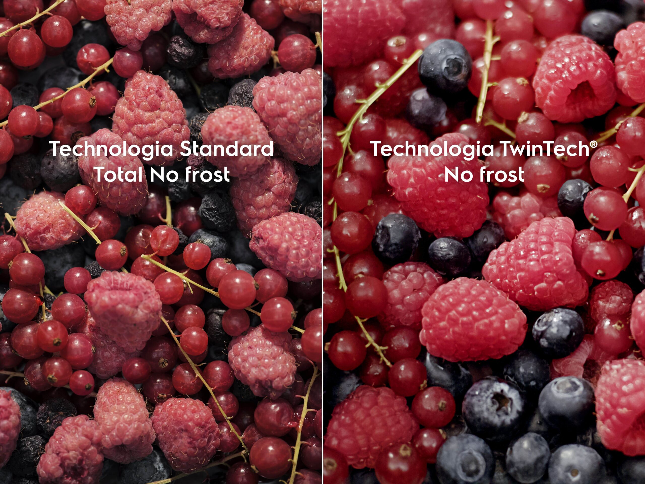 TwinTech® No Frost – odpowiednia wilgotność i świeżość produktów
